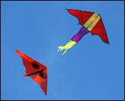 kites (© Wong Hock Weng/iStockphoto)