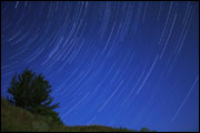 Stars at night (© Sukharevskyy Dmytro/iStockphoto)